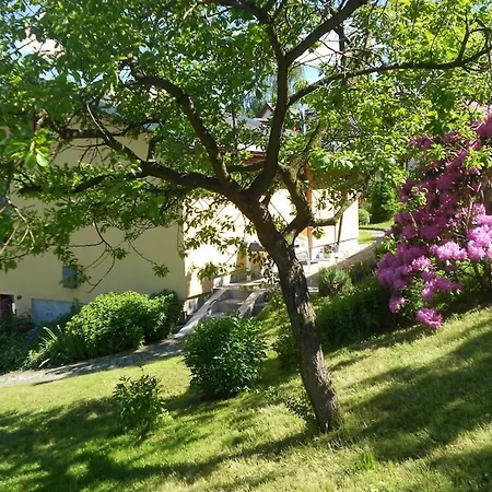 Bonstein Comfortable Holiday Holiday home