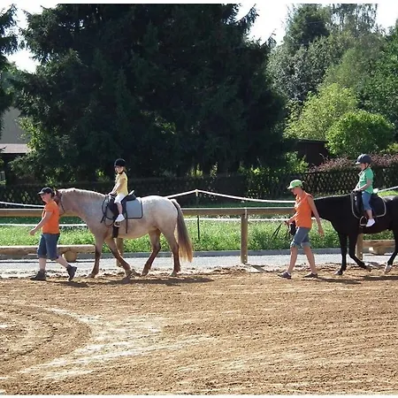Bonstein Comfortable Holiday Eibenstock